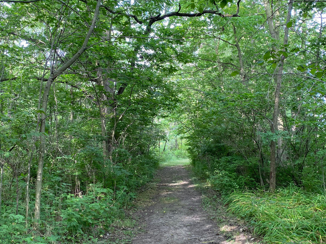 Harrison Lake State Park-Fayette必去景点
