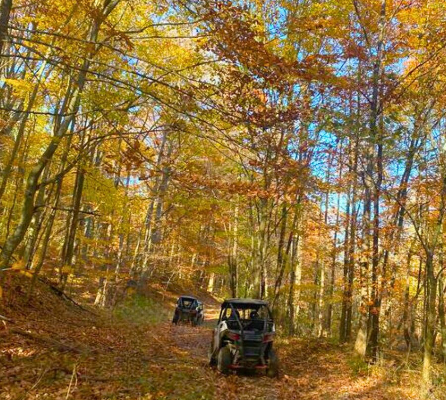 Adventure Pro Rentals-Nelsonville必去景点