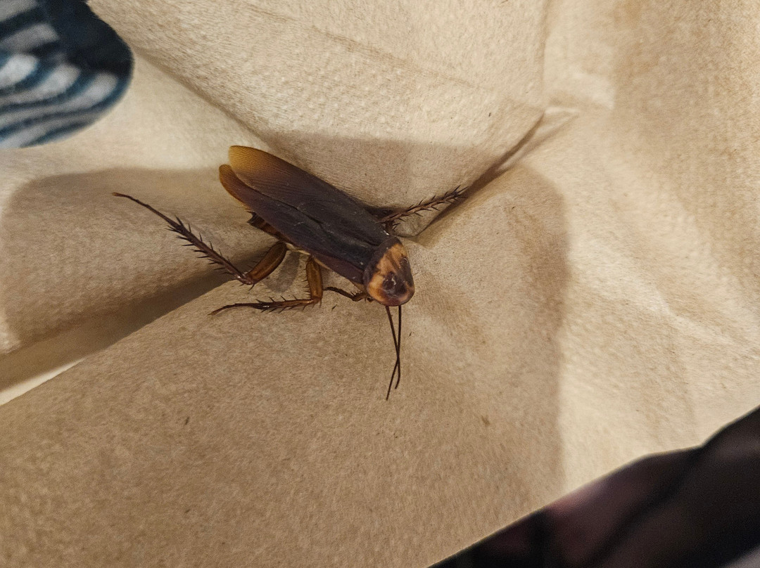 登顿费尔菲尔德旅馆&套房酒店主图