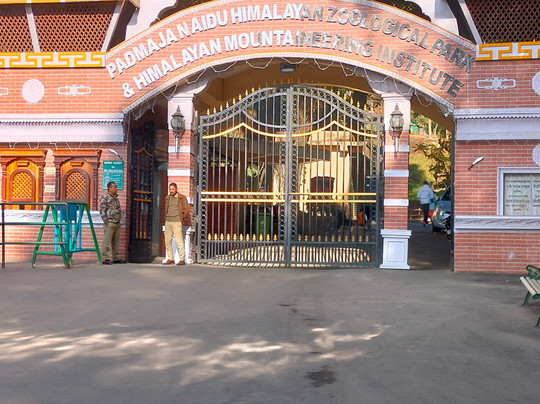 Yes Tourism India-甘托克必去景点