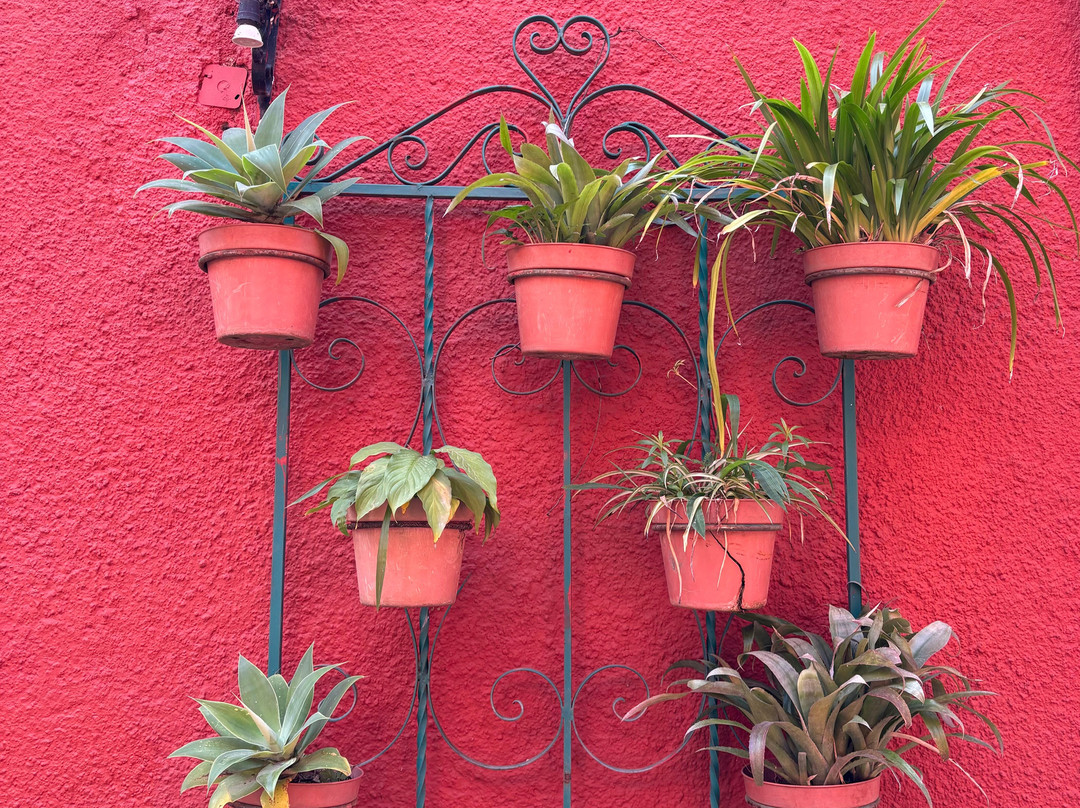 库埃纳瓦卡瑞凯特酒店 - 欧斯达主图