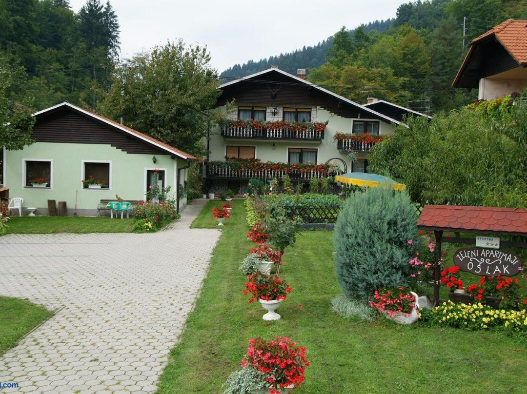 Zeleni Apartma Zreče