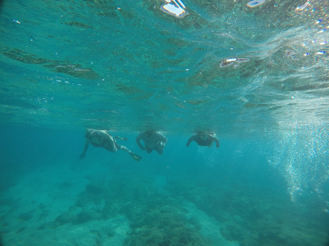 深层生态学-哈雷瓦必去景点