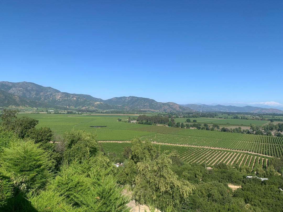 Colchagua D'vino主图