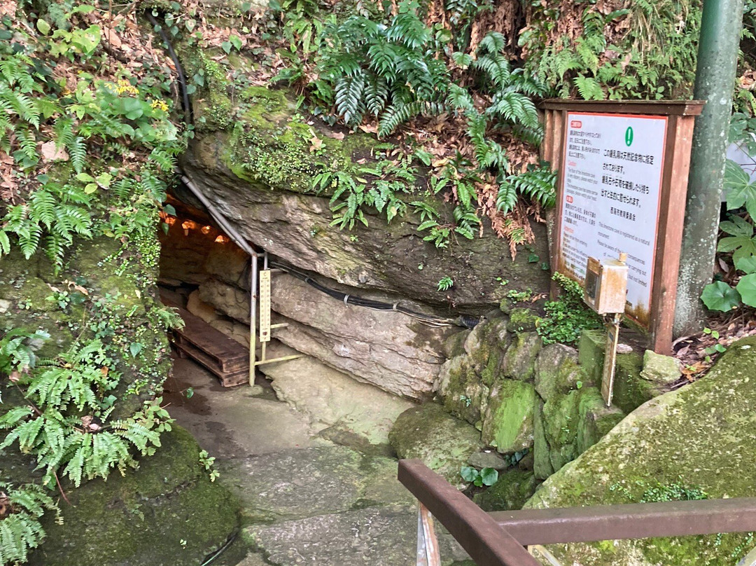 Nanatsugama Limestone Cave-西海市必去景点