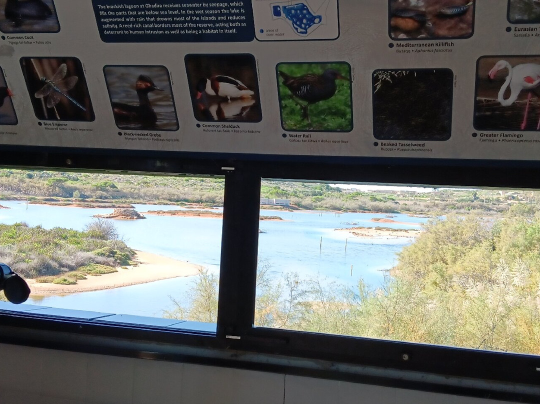 Għadira Nature Reserve景点图片