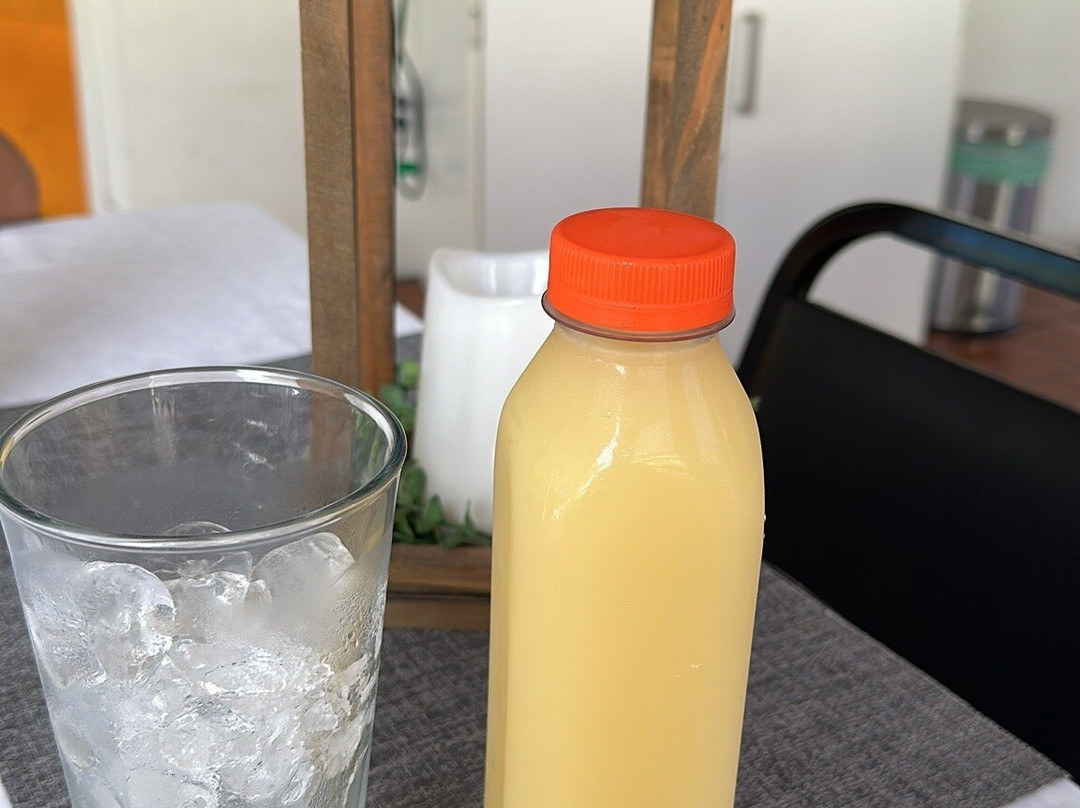 棕榈园酒店主图