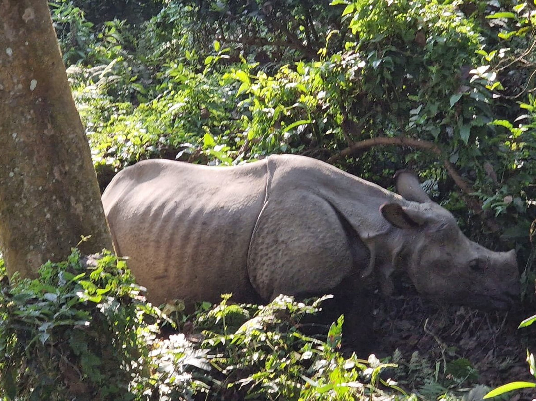 Misterioso Nepal Aventura-Bhatbhateni必去景点