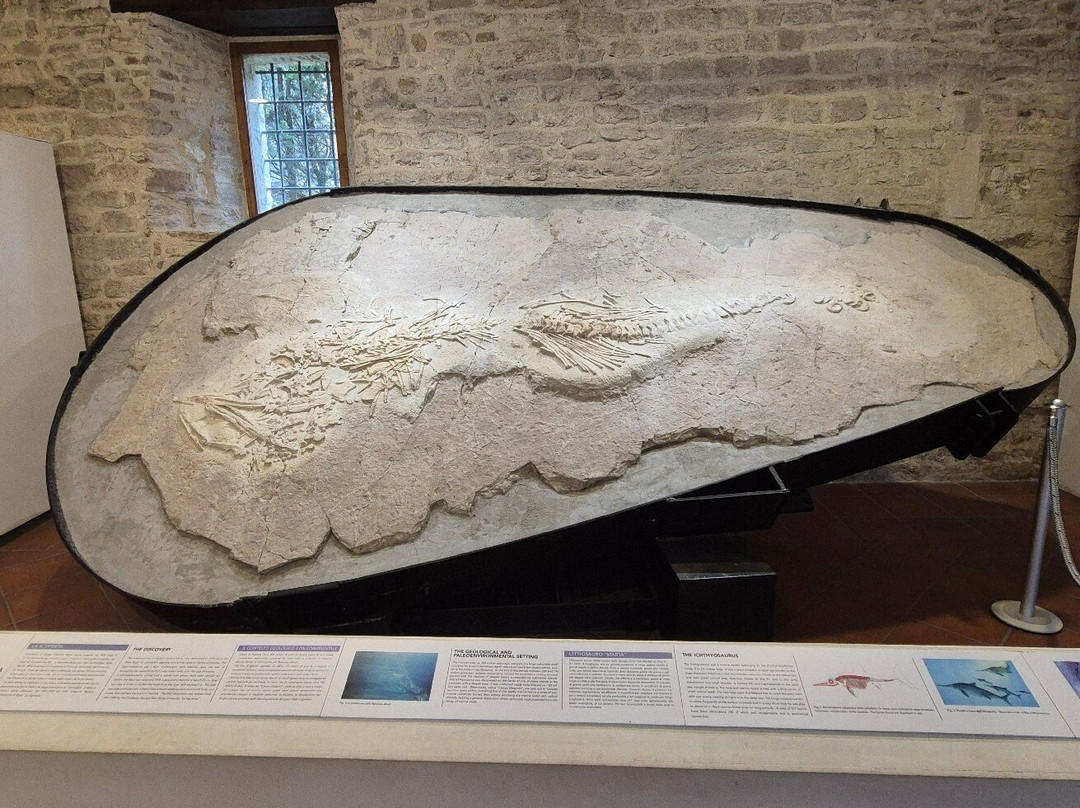 Museo Speleo Paleontologico e Archeologico-Genga必去景点