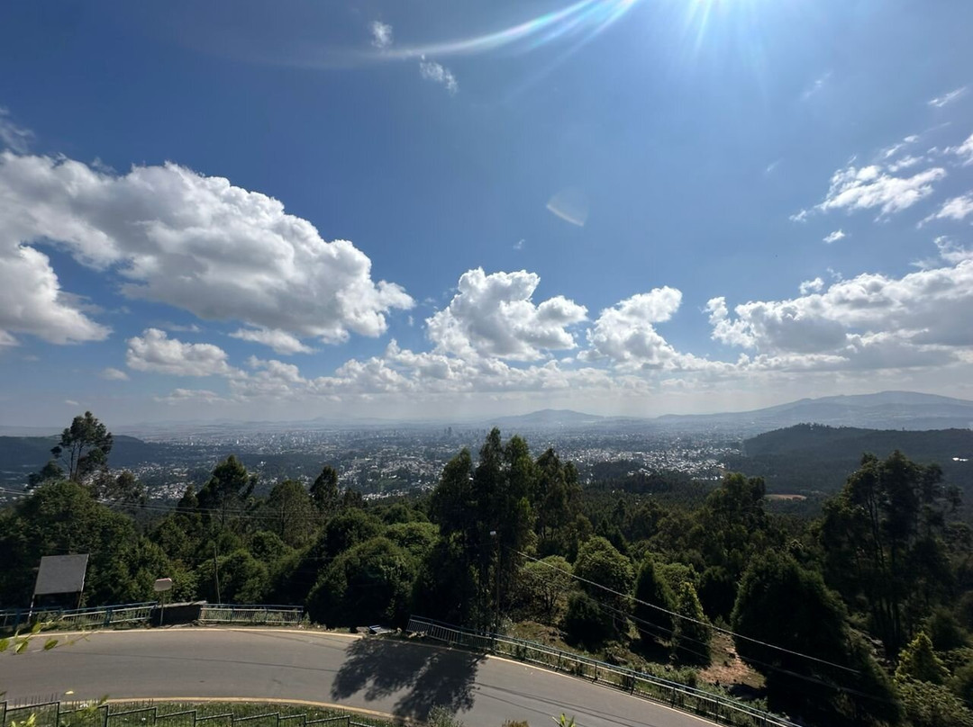 Addis Sightseeing & Shuttle Service-亚的斯亚贝巴必去景点