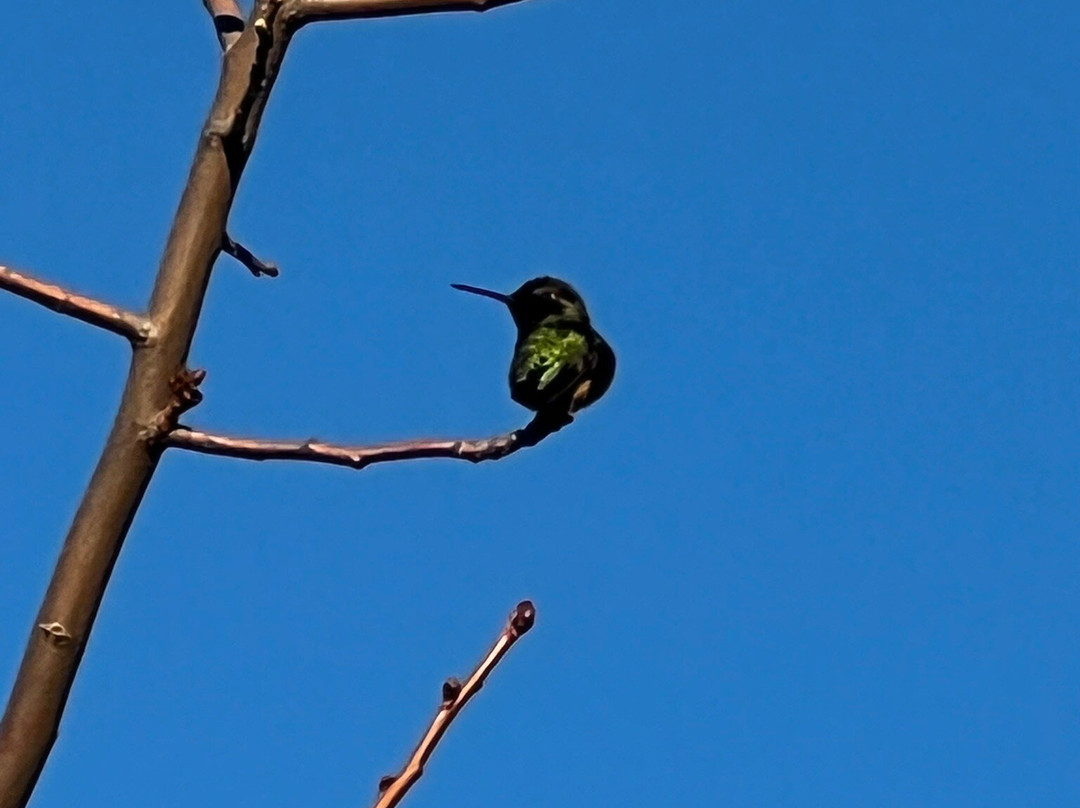 猫溪小径-圣何塞必去景点