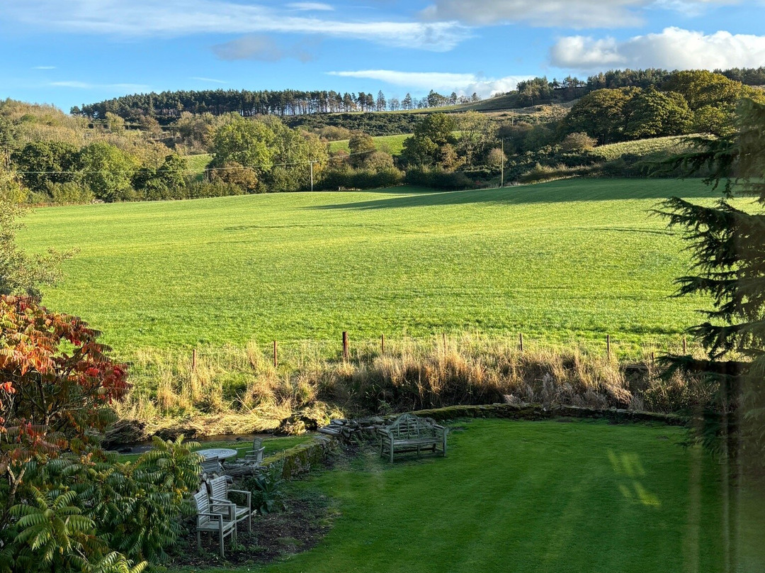 Whashton Springs Farmhouse B & B主图