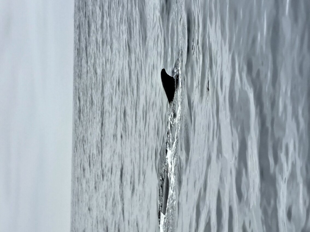 Isla Damas-拉塞雷纳必去景点