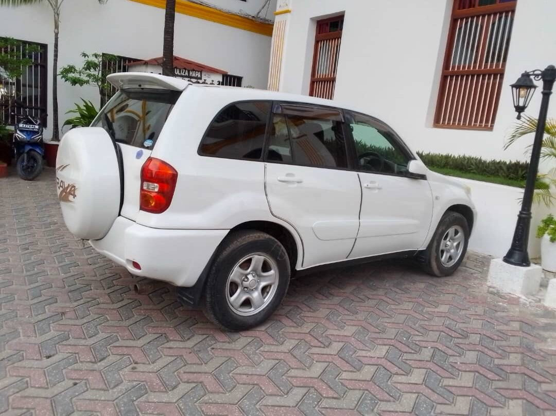 Zanzibar Car Hire & Expeditions-桑给巴尔市必去景点