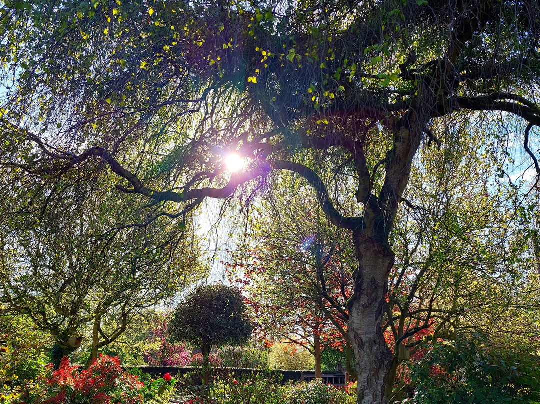 Oakgate Nursery & Garden Centre-Ellerdine必去景点