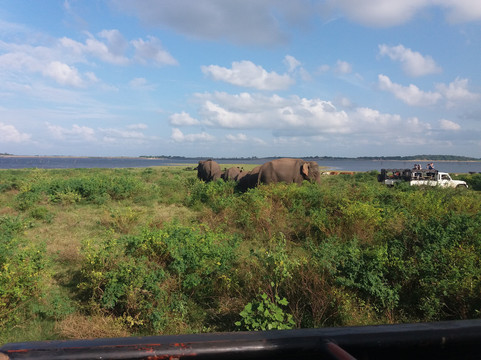 Kalum Tours - Sri Lanka-科奇克德必去景点