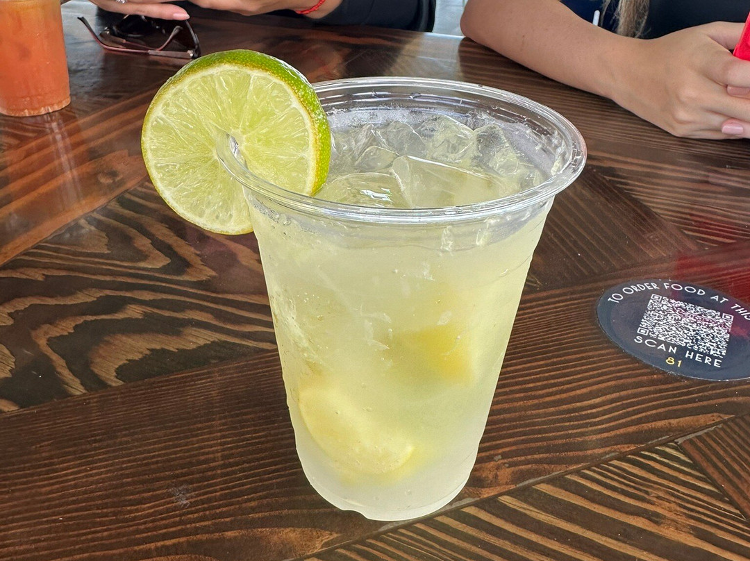 Regatta Grove-迈阿密必去景点