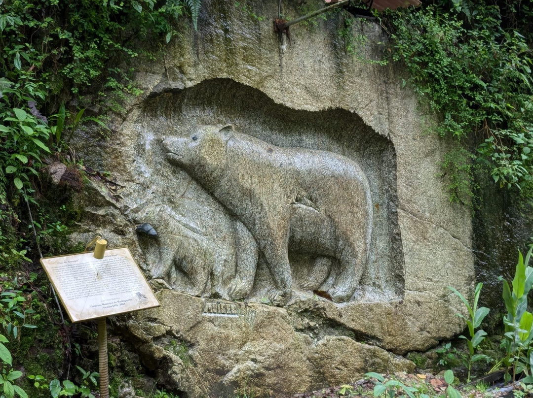 Hot Springs (Aguas Calientes)景点图片