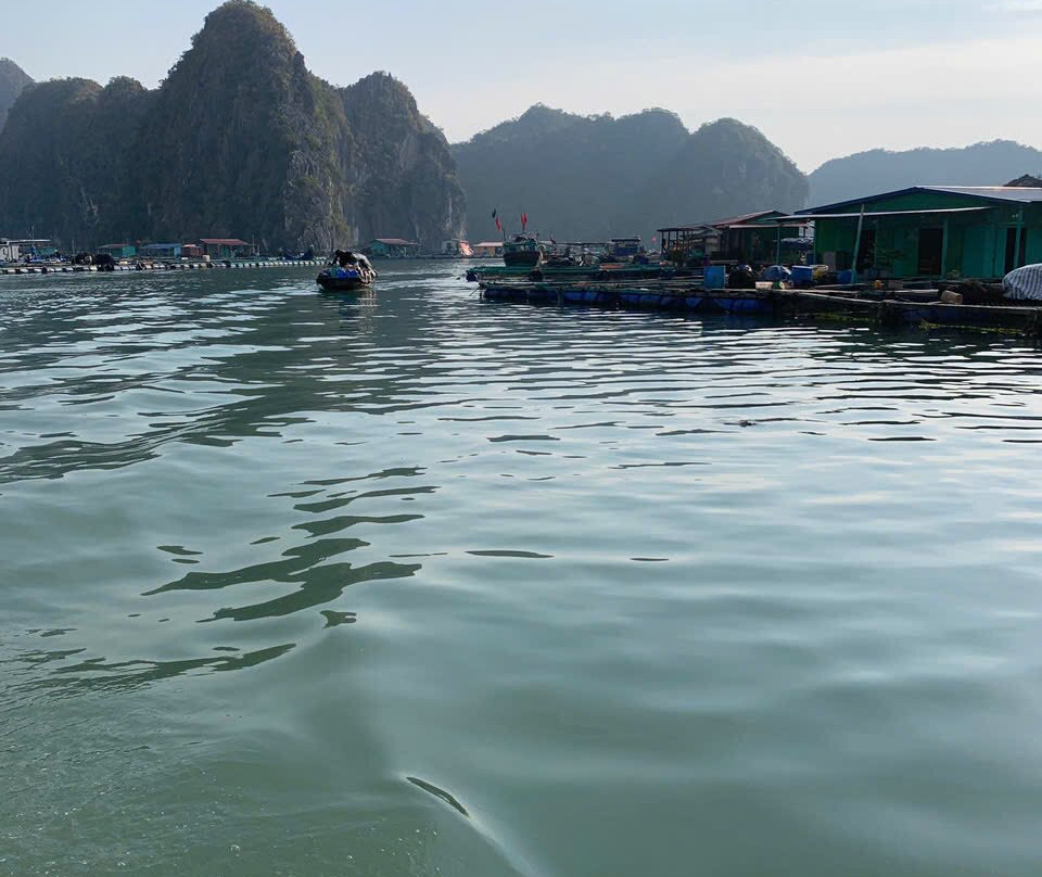 Indochine Junk-卡巴必去景点