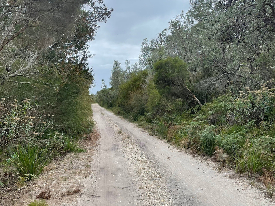 Lake Coleman State Game Reserve-Golden Beach必去景点