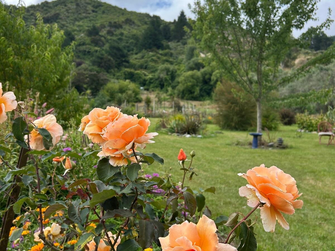 Riwaka River Estate景点图片