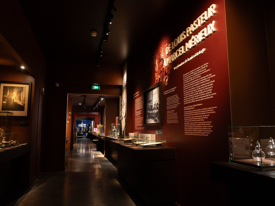 Musee de Sciences Biologiques Docteur Merieux景点图片
