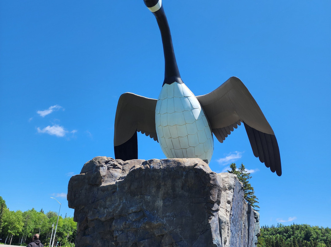 Wawa Goose Statue-Wawa必去景点