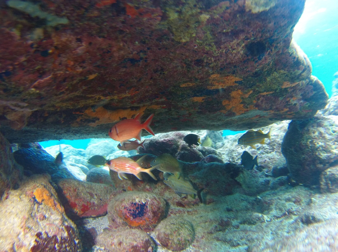 Caraibe Kayak景点图片