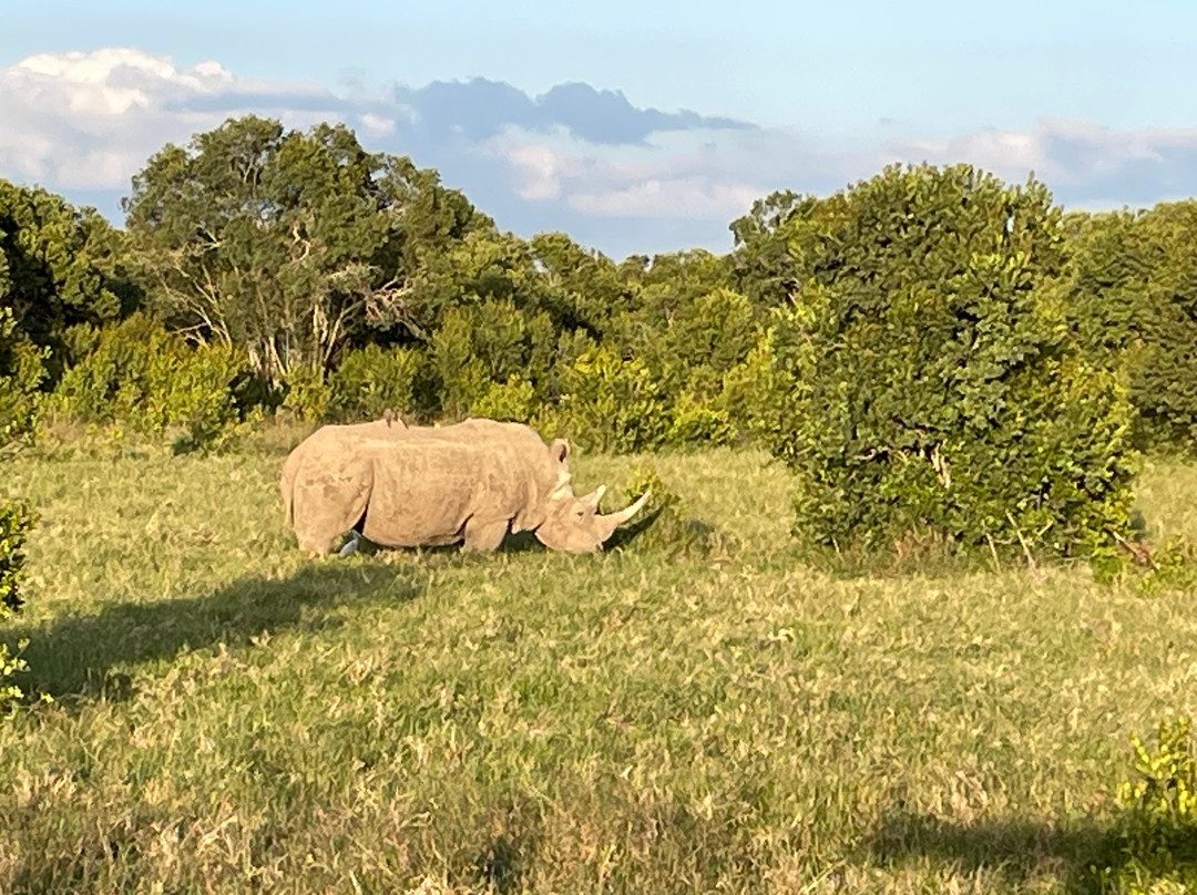CAT Safaris-沙加缅度必去景点