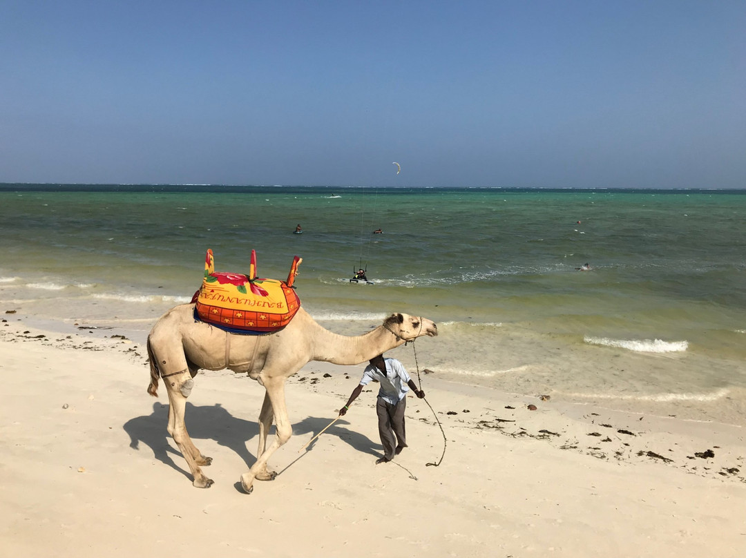 Azul Margarita Beach Resort主图