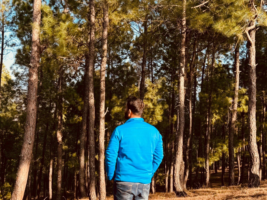 Binsar Wildlife Sanctuary景点图片