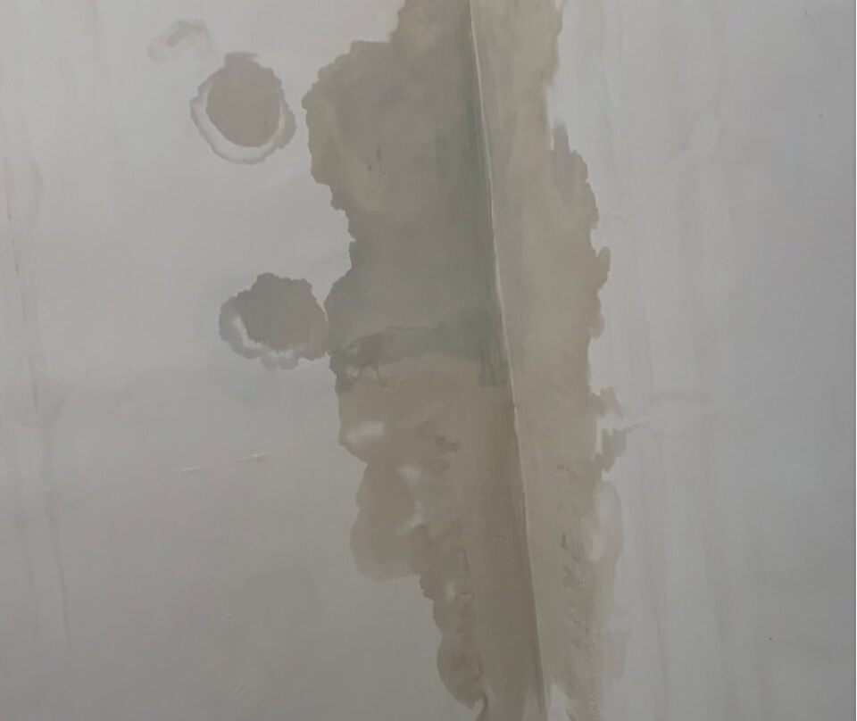 The Ylang Ylang主图