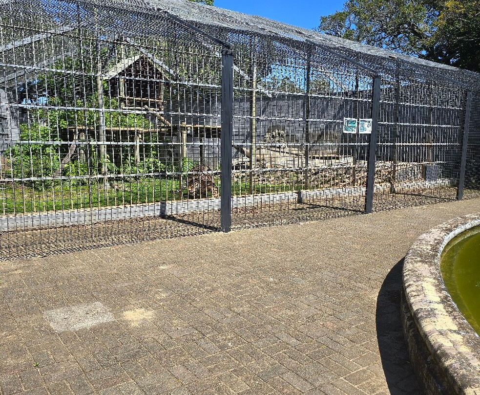 East London Zoo-东伦敦必去景点