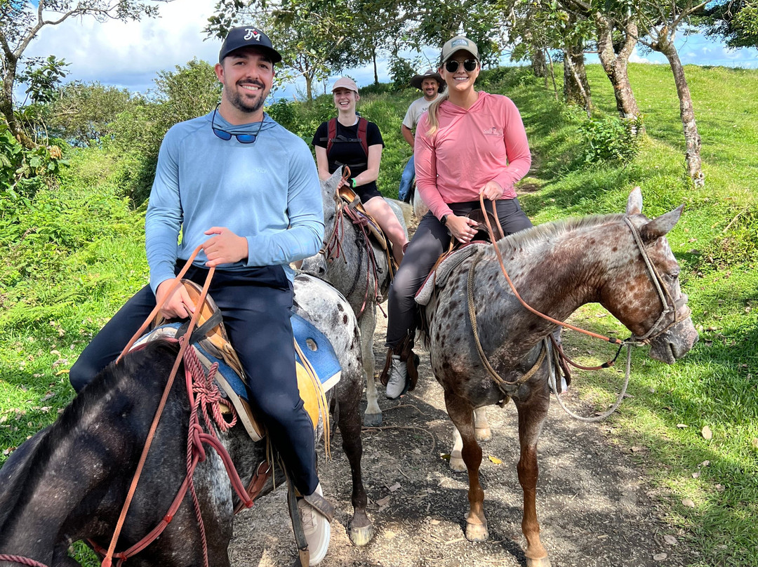 Lilander's Horse Tours景点图片