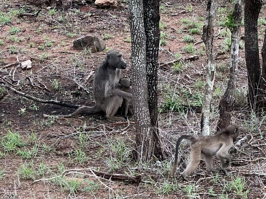 Canuel Tours And Safaris-雾观必去景点