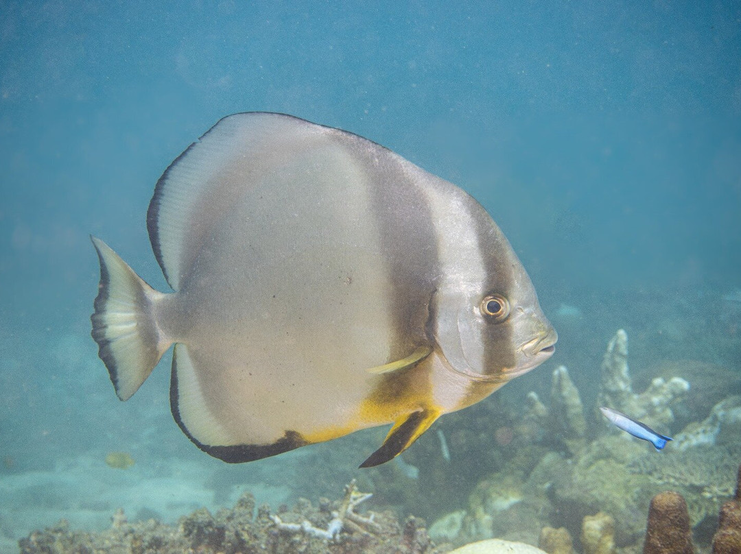 Scuba Nosy Be景点图片