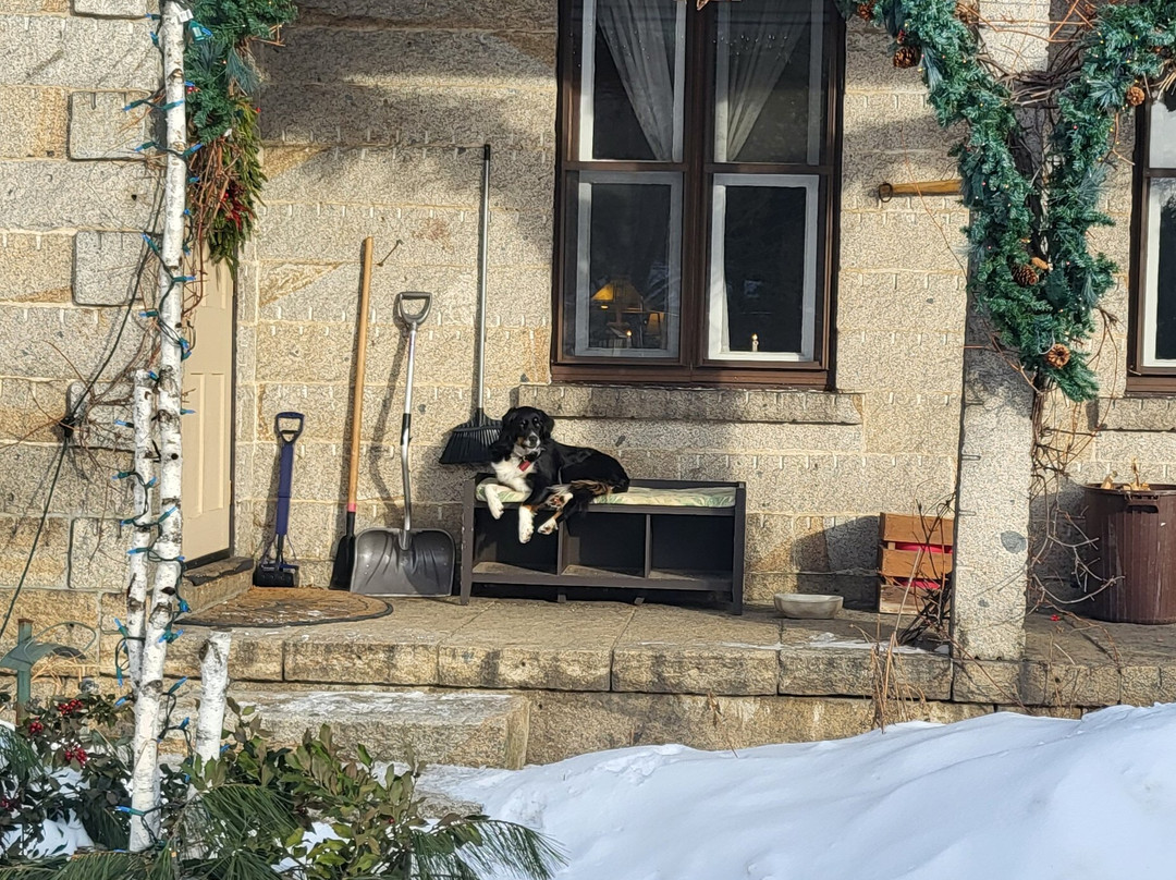 The Notchland Inn主图