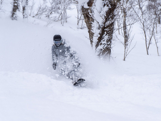 Revelstoke Photography Tours-雷夫尔斯托克必去景点
