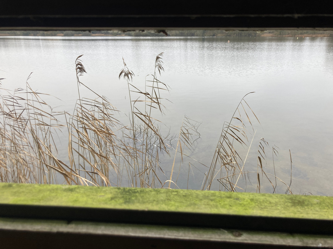 Lackford Lakes景点图片