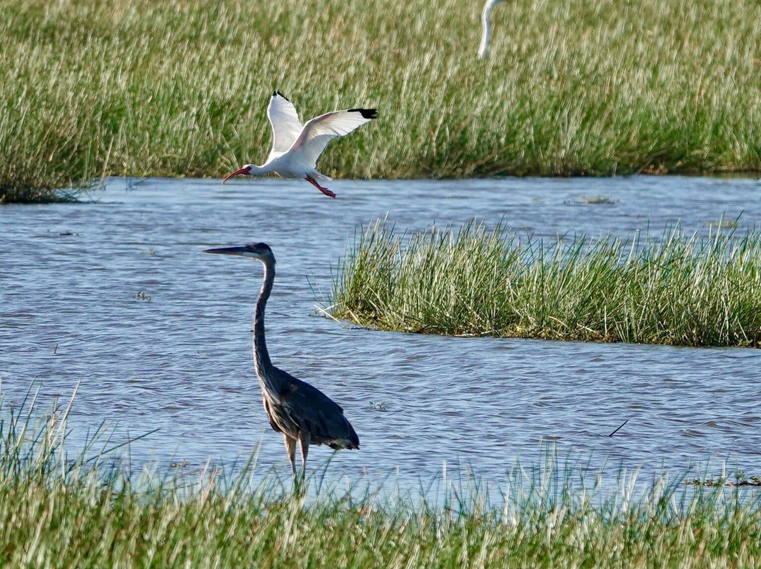 Rancho Humo Estancia主图
