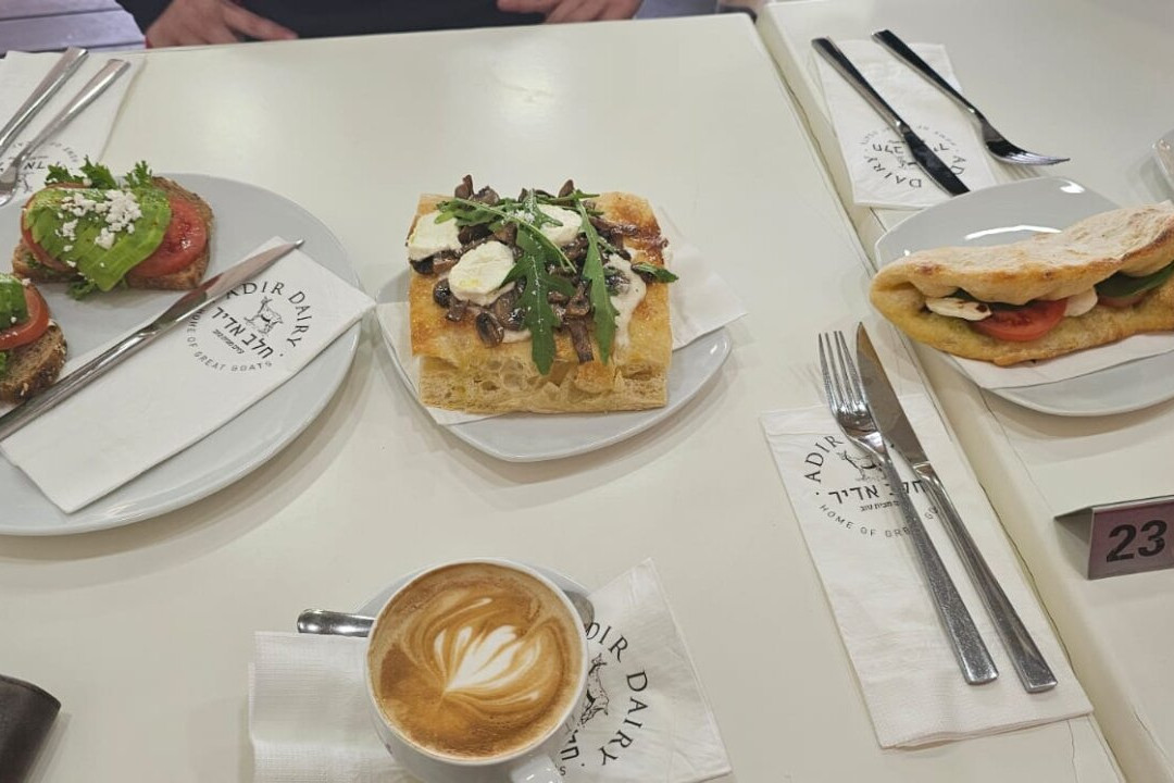 Adir Winery-Dalton必去景点