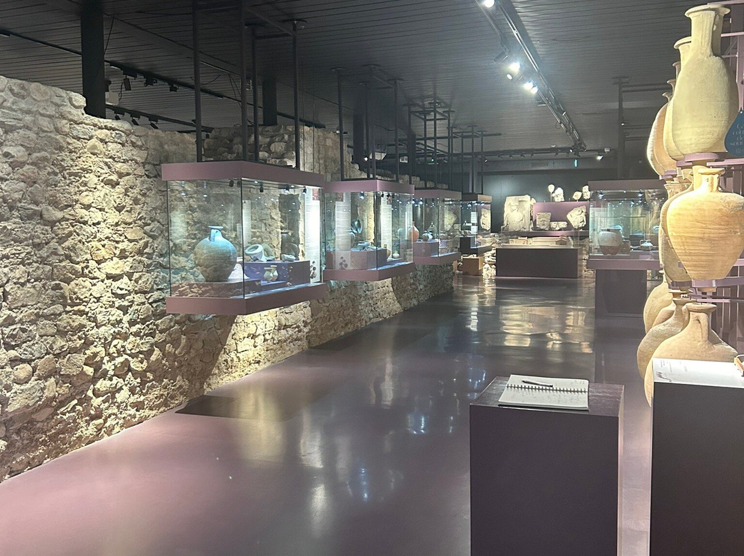 Musée romain-尼永必去景点