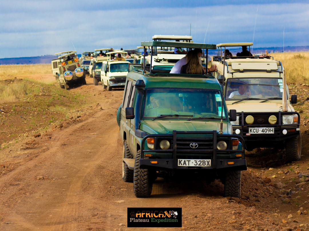 Nairobi National Park and Giraffe Centre Visit