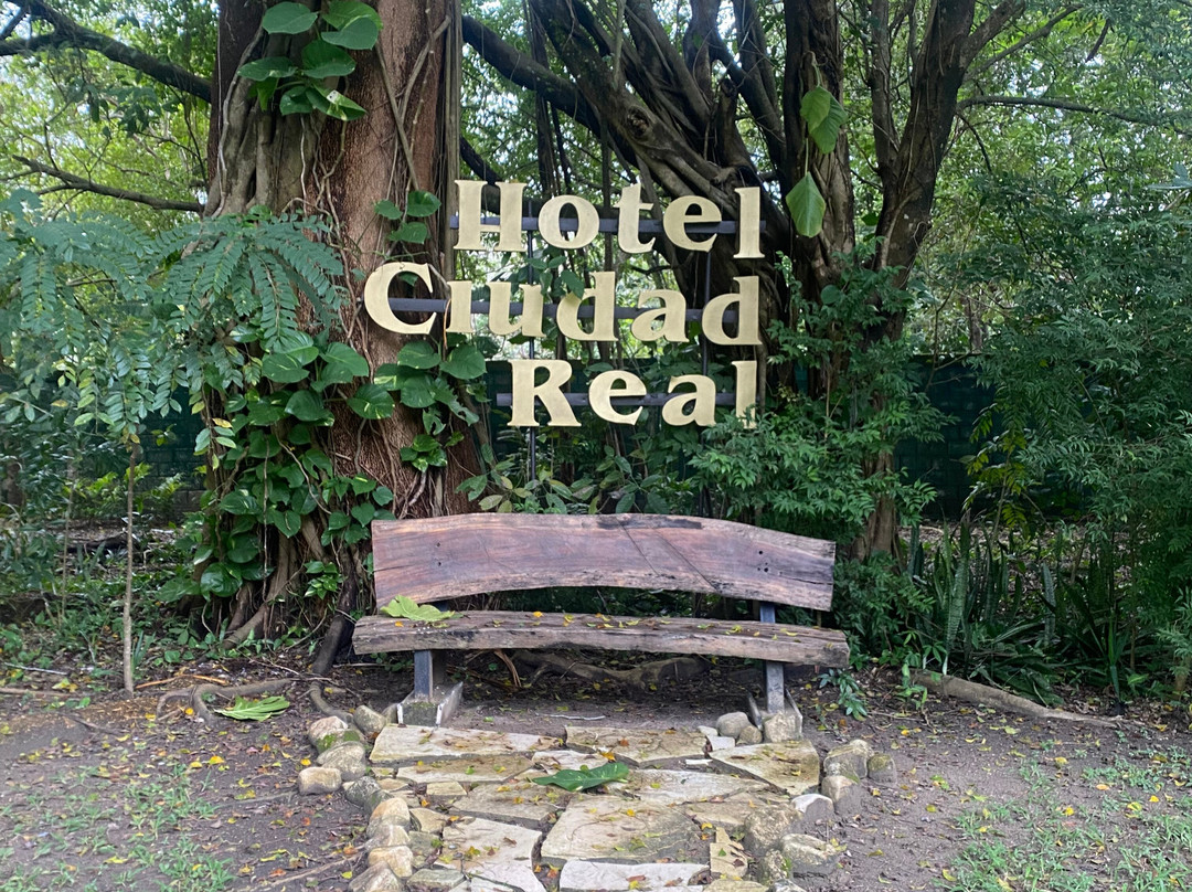 Hotel Ciudad Real Palenque主图