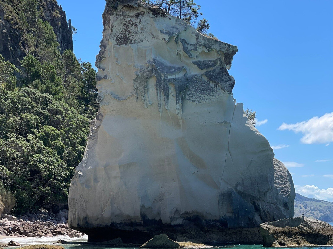 Mercury Bay Discoveries - River & Waterways Cruise景点图片