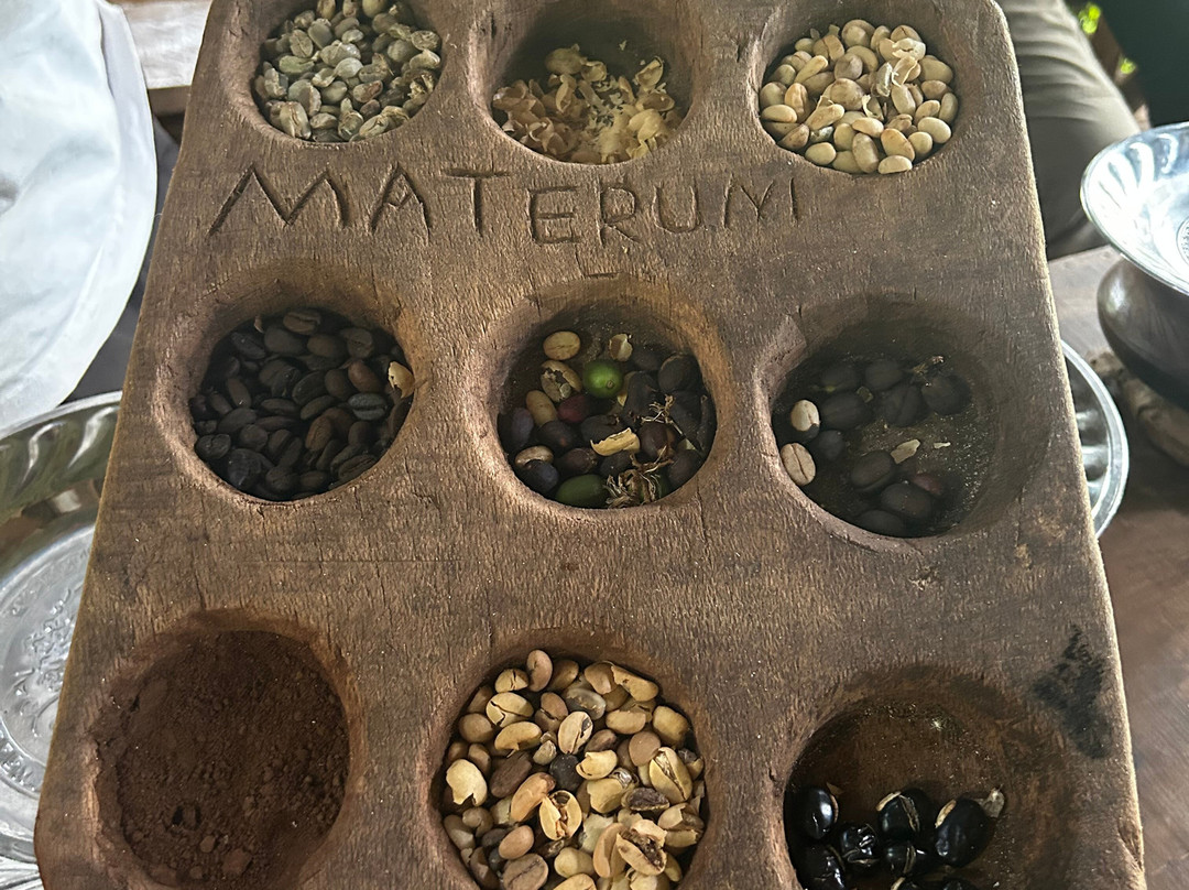 PK Adventure-乞力马扎罗山国家公园必去景点