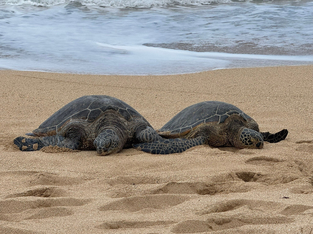 Secret Beach, Paia'a, Maui