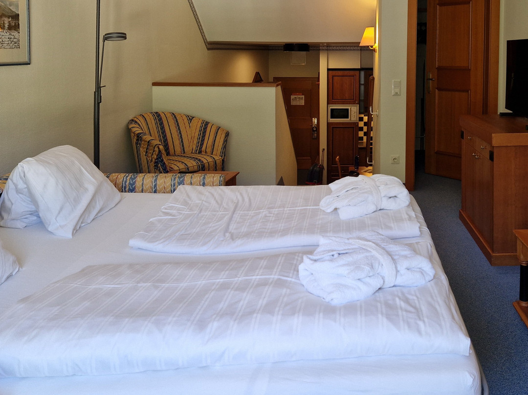 MONDI Hotel Bellevue Gastein主图