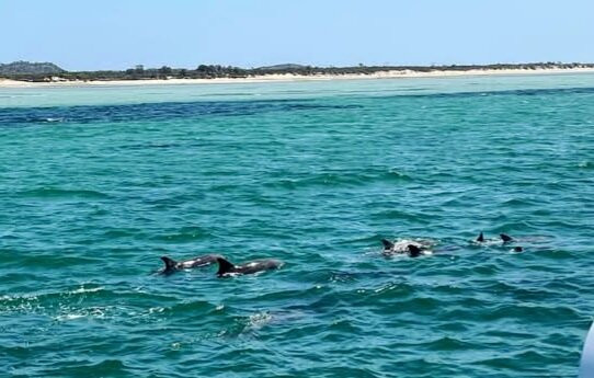 Sunset Charters-哥芬湾必去景点