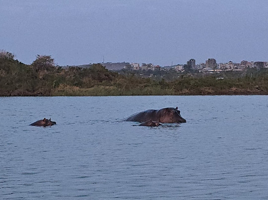 Daniel lakew-巴哈尔达尔必去景点